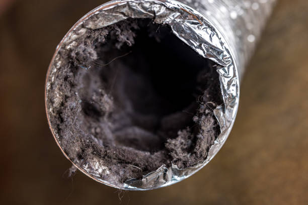 Best Affordable Air Duct Cleaning  in Williamsport, PA